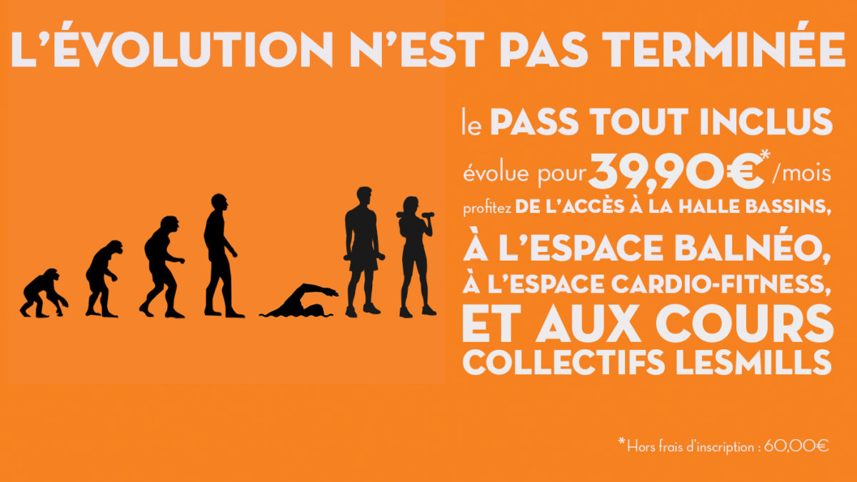 evolution-web